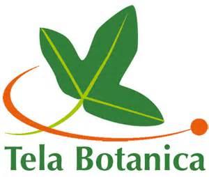 logo telabotanica