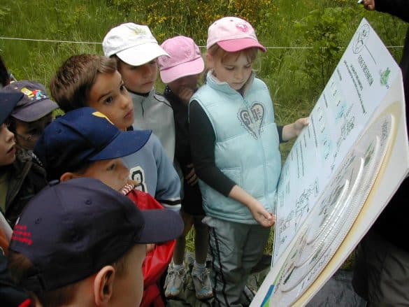 atelier l'école de la nature