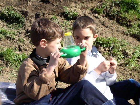 Observation l'école de la nature