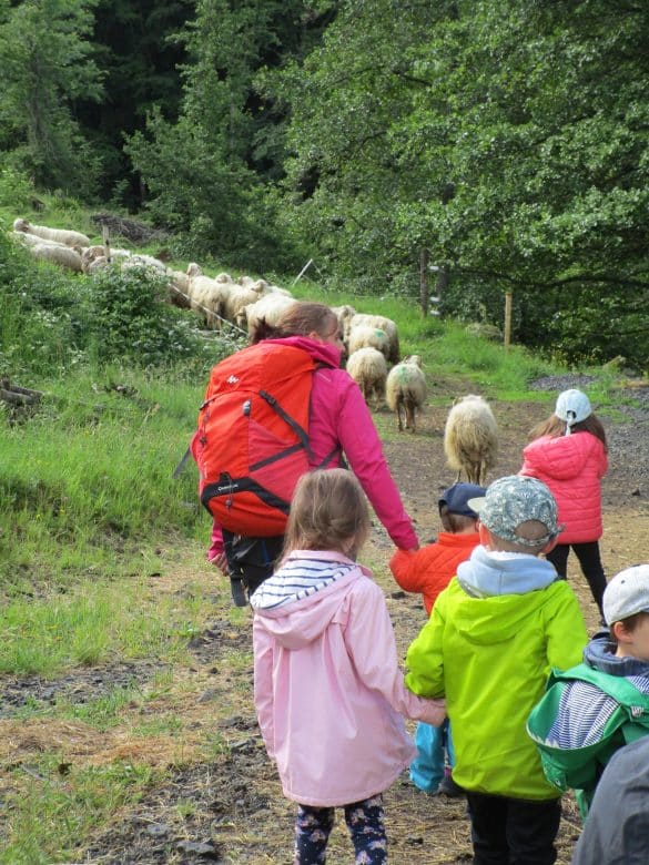 balade Terres de Cimes