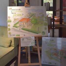 outils pedagogique biodiversité