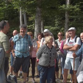 Sorties Nature Séniors CLIC RLC