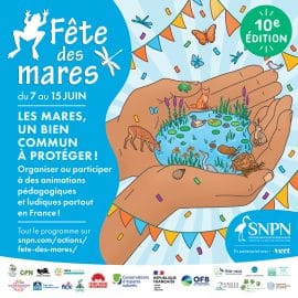 Appel à programmation pour la Fête des Mares revient pour sa dixième édition du 7 au 15 juin 2025 partout en France.