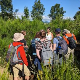 Basée en Auvergne, l’association Herbulateke valorise le patrimoine culturel des plantes sauvages à travers une démarche ethnobotanique unique.