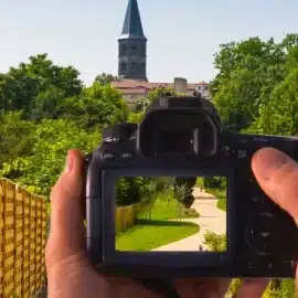 Cet été la ville de Riom et ses partenaires, ont mis en place un concours photo amateur « Focus Vert : la Nature en Ville », qui à lieu du 10 juillet 2025 au 1er septembre 2025.