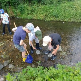 Le REEA coordonne la mise en place de ce dispositif pédagogique proposé par la communauté d'agglomération de Riom Limagne et Volcans.