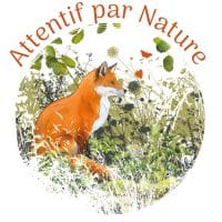 Attentif par Nature
