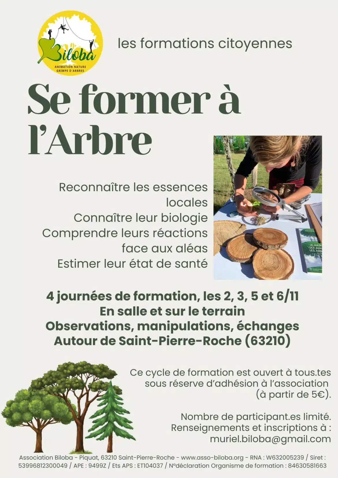 formation arbres(1)
